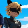 Cat noir 19