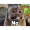 No