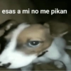 esas a mi no me pikan
