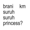 Kata anomali princess 6