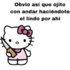 HELLO KITTY RANDOM 😡♥️ 29