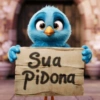 Sua PiDona