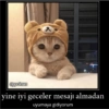 Günaydın-iyi geceler 8
