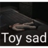 Toy sad