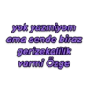 yok yazmiyom ama sende biraz gerizekalilik varmi Özge