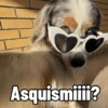 Cosas de Perritos 2🤎🐶✨ 6