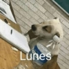 Lunes