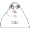 Hamster 3 13