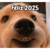 Año Nuevo meme random🎉✨️ 12