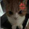 JU
