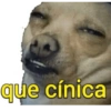 que cínica