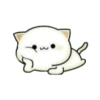 Random 15