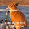 TS está complicao echarle ganas