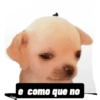 Fer_gie 19