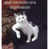 Tumba la casa mami😎 17