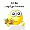 Se te cayó,princesa