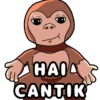 WUT WUT WUT Monkey Meme 6