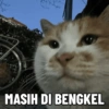 Tahun Baru versi Kucing 10