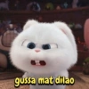 Random 10