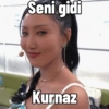 Seni gidi Kurnaz