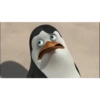 Pinguim  22