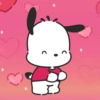 Pochacco 7