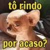 tô rindo por acaso?