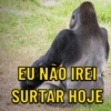Macaquinhos memes 🤣🙈 7