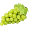 Buah / fruit 21