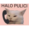 Gatau 28