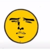 EMOJIS 13