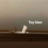 Shitpost de Animalitos 🤑😈 9