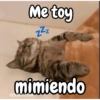 Me toy zzz mimiendo carols.zdio
