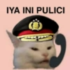 Gatau 29