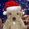 Perritos Navideños (Stickers) 9