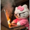 Hello kitty working 18
