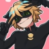 Cat noir 10
