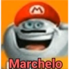 M Marchelo