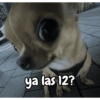 Año Nuevo meme random🎉✨️ 11