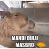 Capybara  19