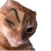 Meme Kucing  15