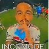 Memes zoados 14