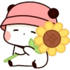 Bubu flores 🌷🌷 10