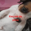 Esq me da pena