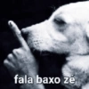 SHITPOST 6