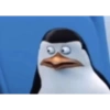 Pinguim  25