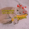 yo pensando que eres tú. mi almohada