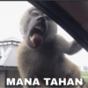 Meme indo bgt 15