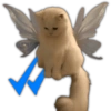 nevysioy