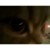 CatscatacatsDIECI 28